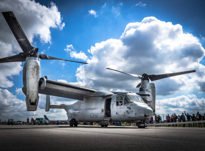 Osprey