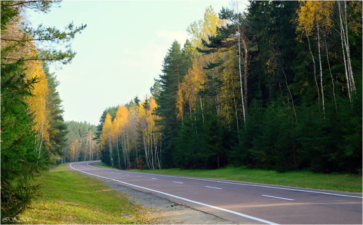 осенью