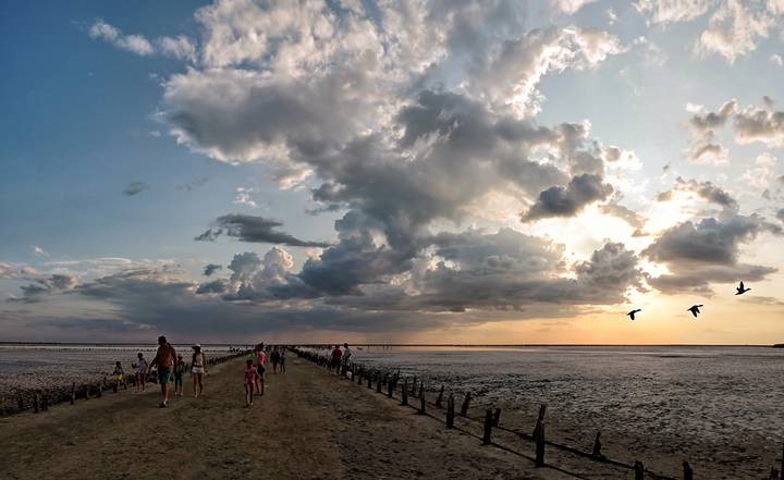 Сиваш