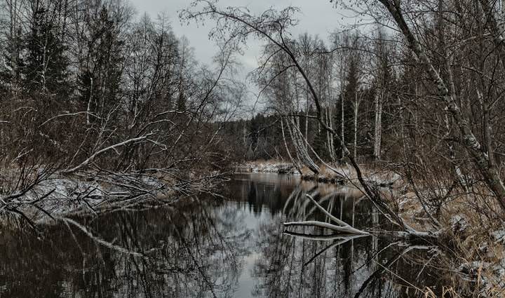 речная фоточка