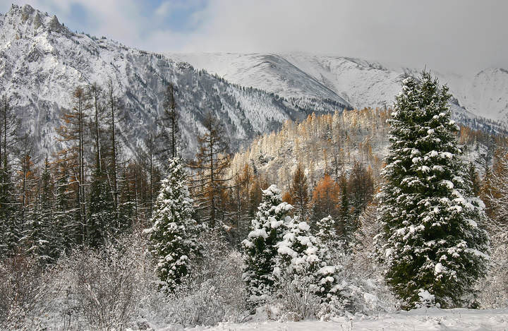 Осень в Саянах.