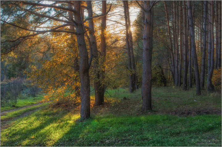 Солнечная осень