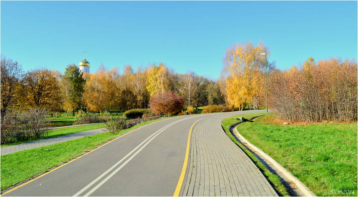 в осеннем парке*