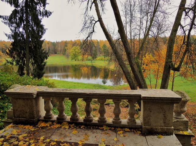 Краски Осени