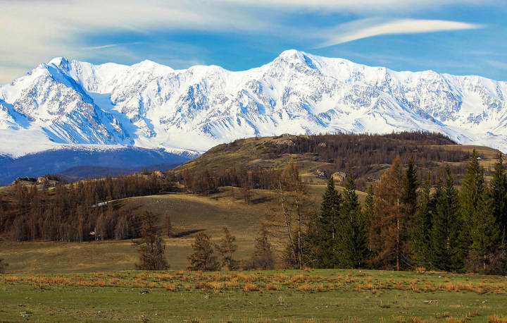 Неразлучники