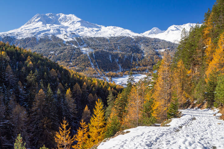 Тирольская осень