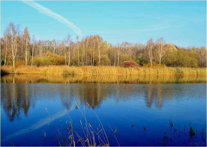 осенняя Свислочь