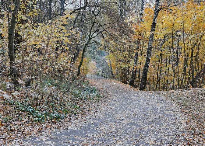 Осенний мотив