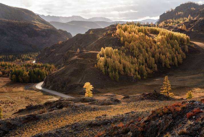 В лучах заходящего солнца. 