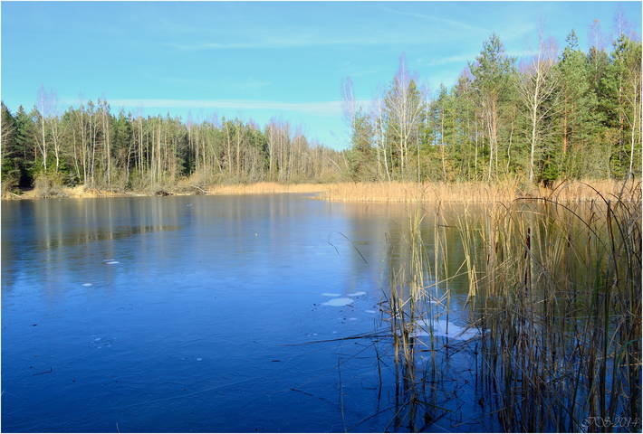 первые заморозки