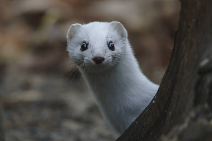# 2