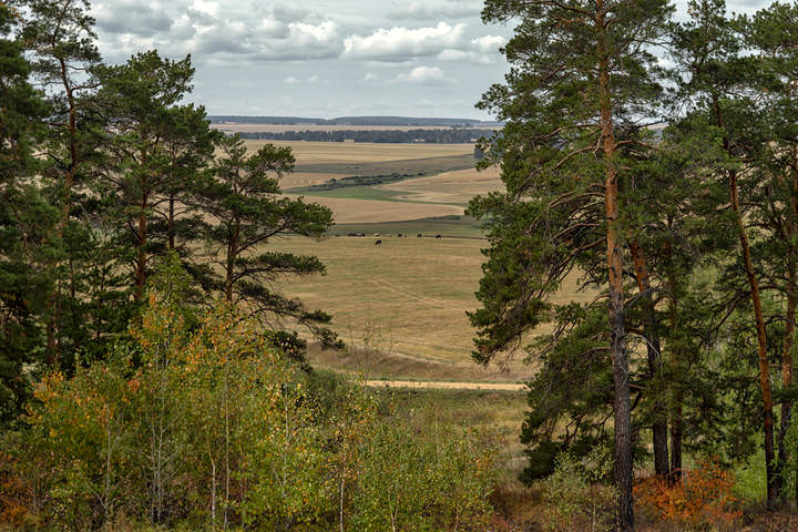 Хребет «Змеиный»