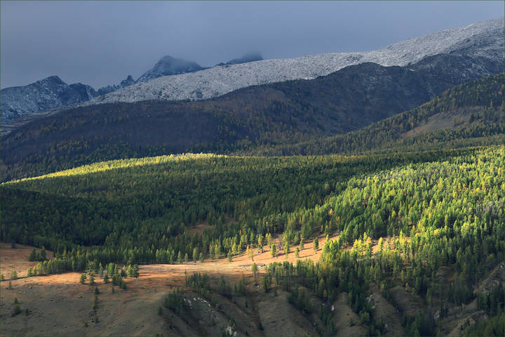 В горах Алтая