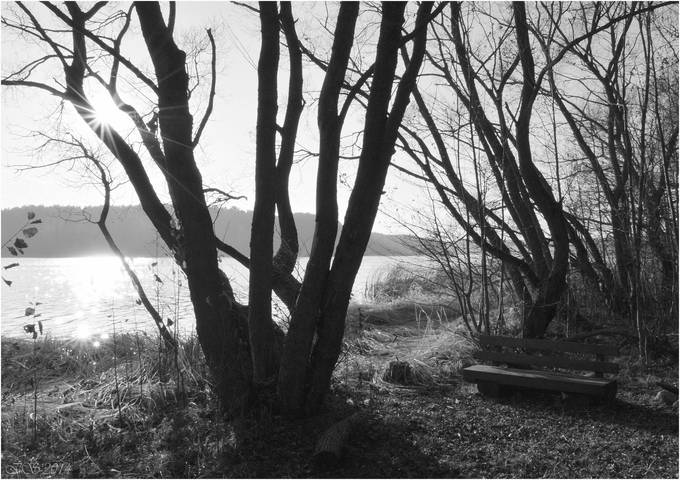 на осеннем берегу