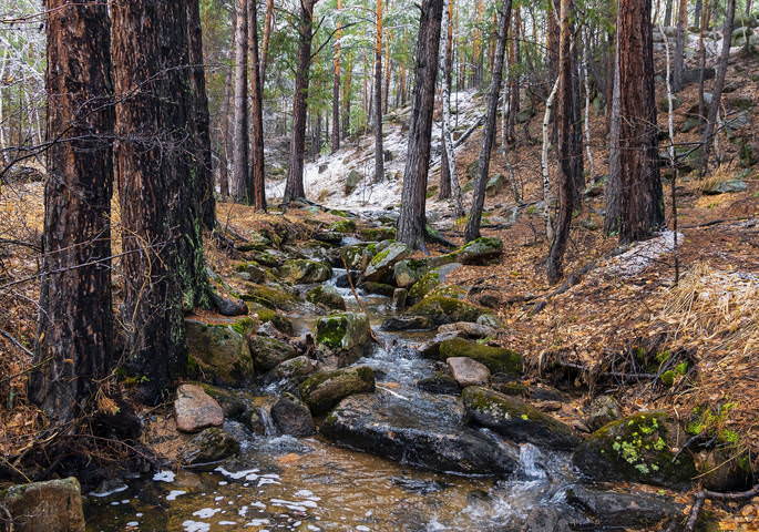 Каркаралинск 