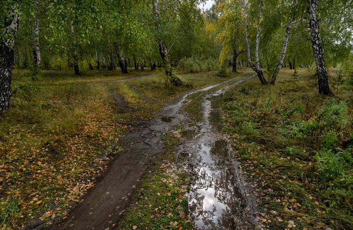 После дождя