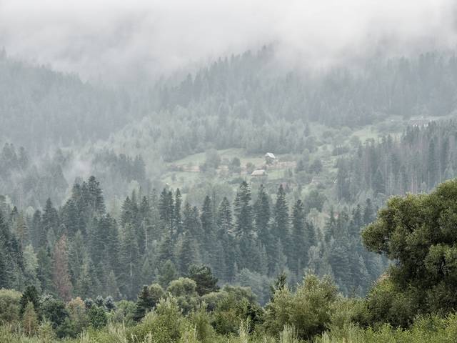 В Карпатах