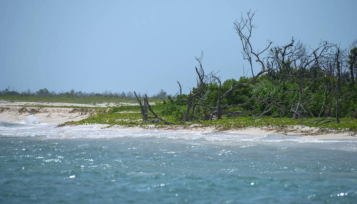 Barbuda