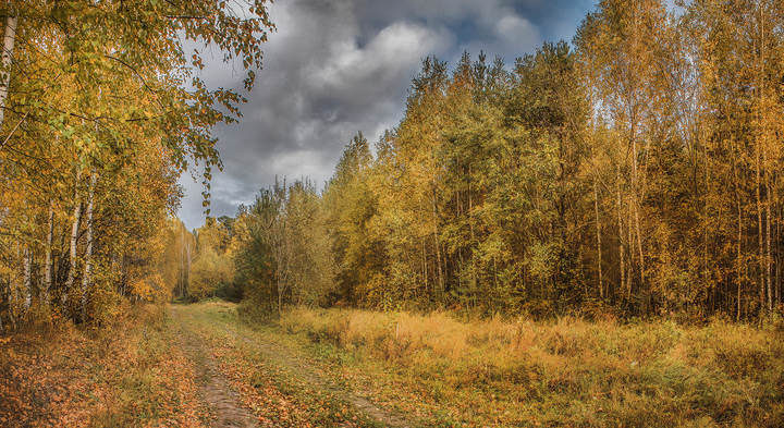Осеннее настроение