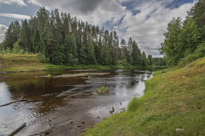Быстрая речка