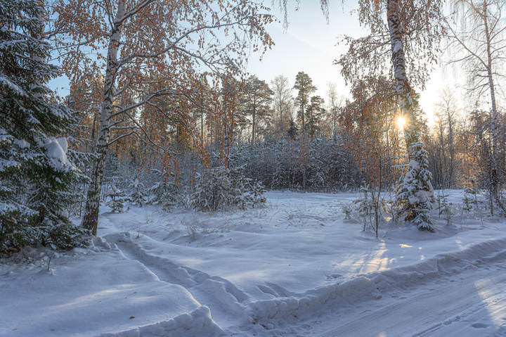 Развилка