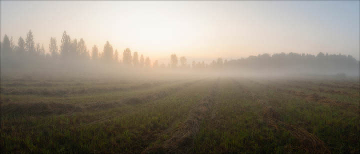 В тумане