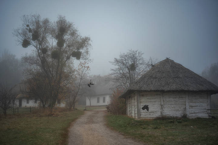 Пирогово