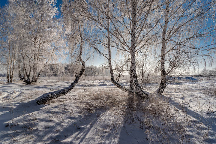Распогодилось.