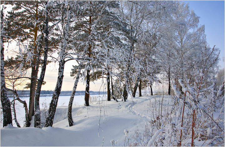 Зимнее очарование
