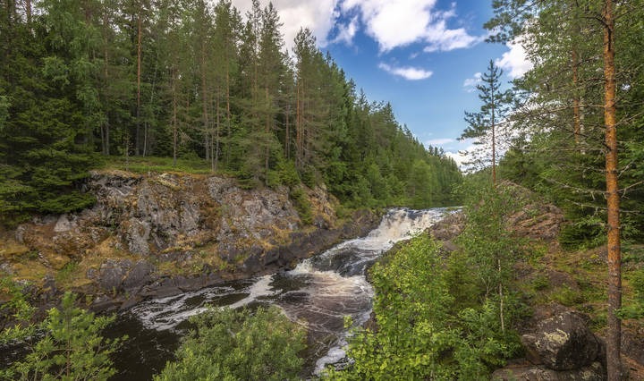 Суна