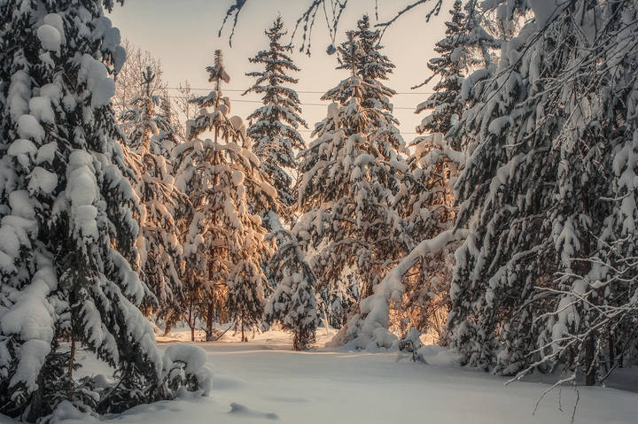 Утром