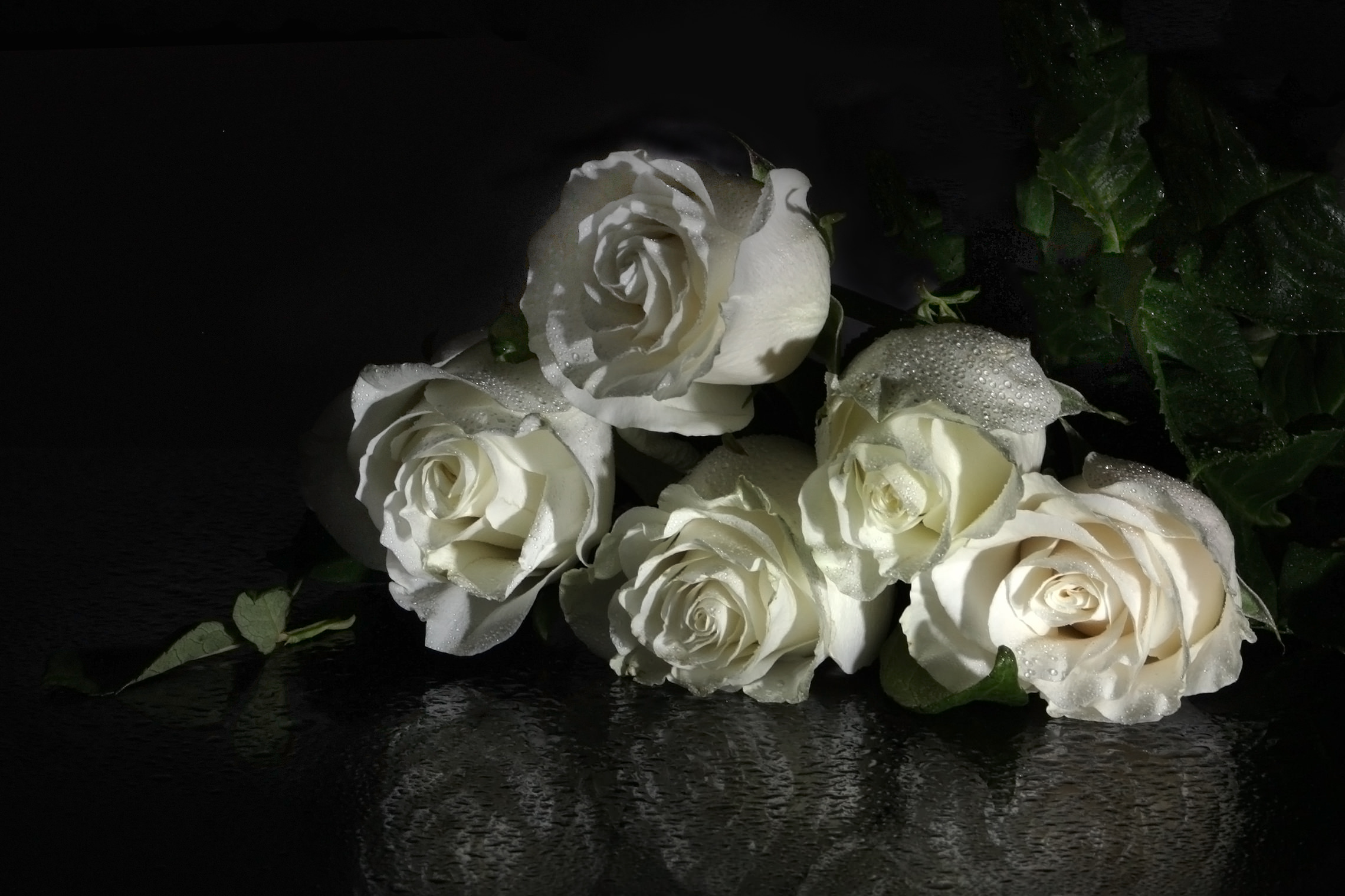 Нэнси белые розы на краю стола