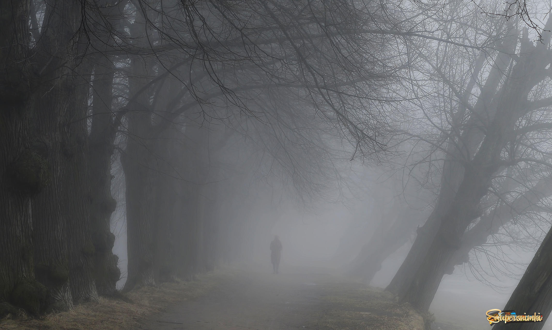 Прогулка в тумане......
