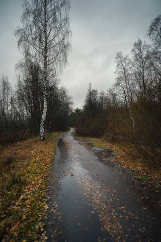 Плаксивый вечер