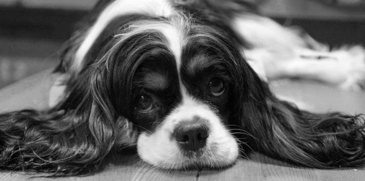 Окси