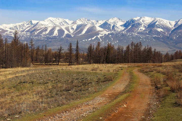 Дорогами Курая