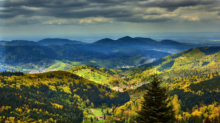 Альпы