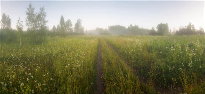 Утренние зарисовки