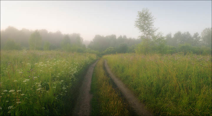 Утренние зарисовки 2