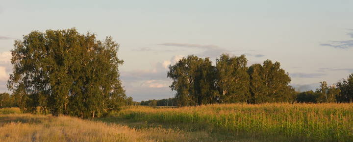 Летний вечер.