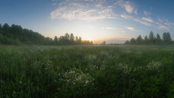 На заре