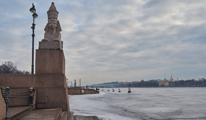 Сфинкс над стылой Невой
