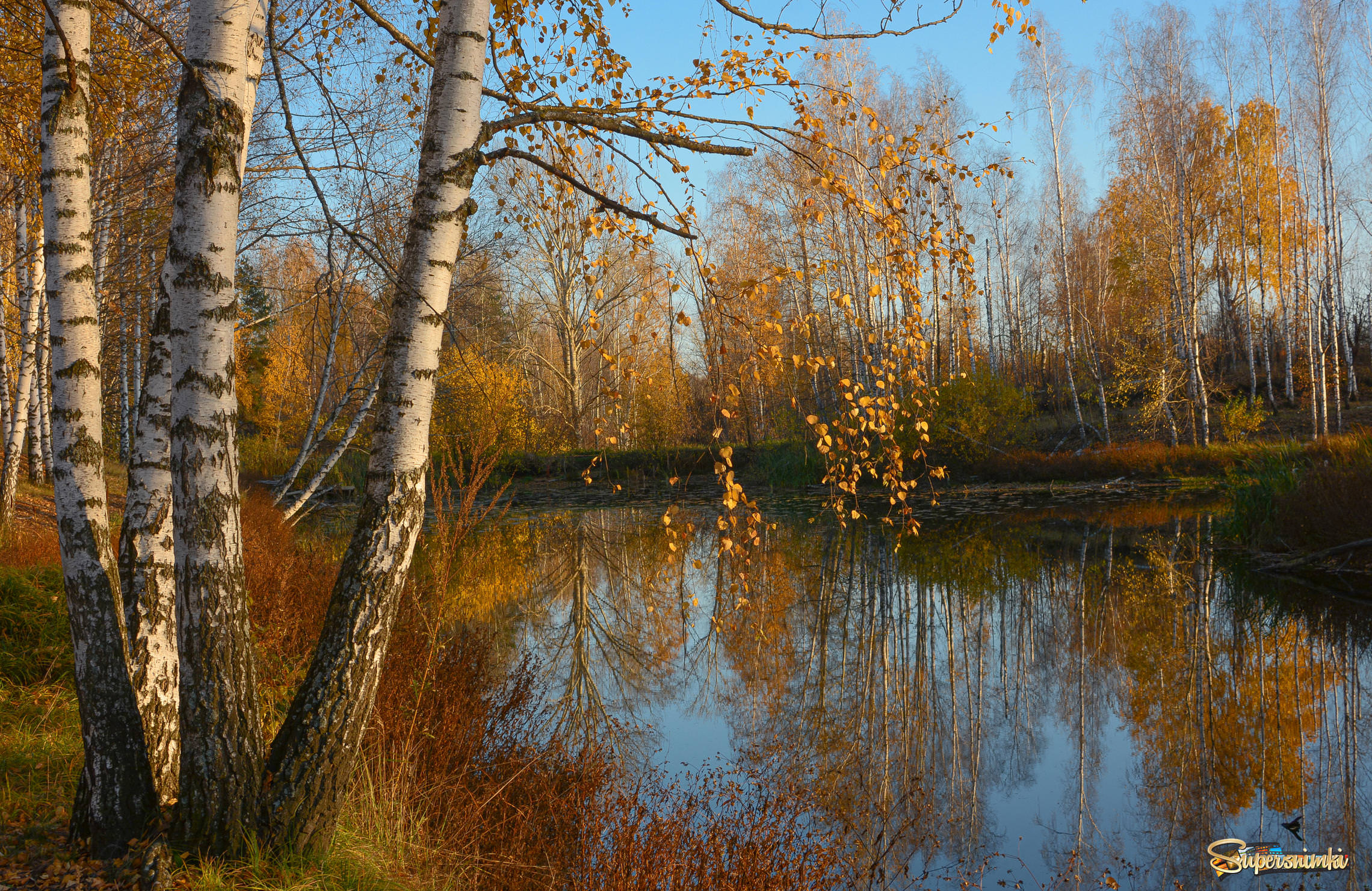Старый пруд в осенней позолоте...синеве и солнце октября...