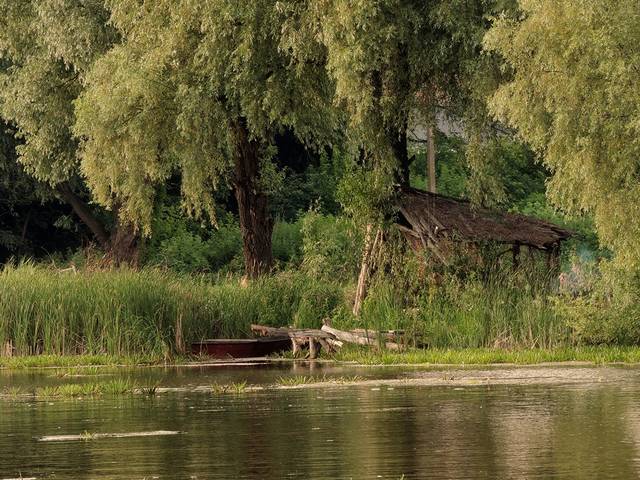 На реке