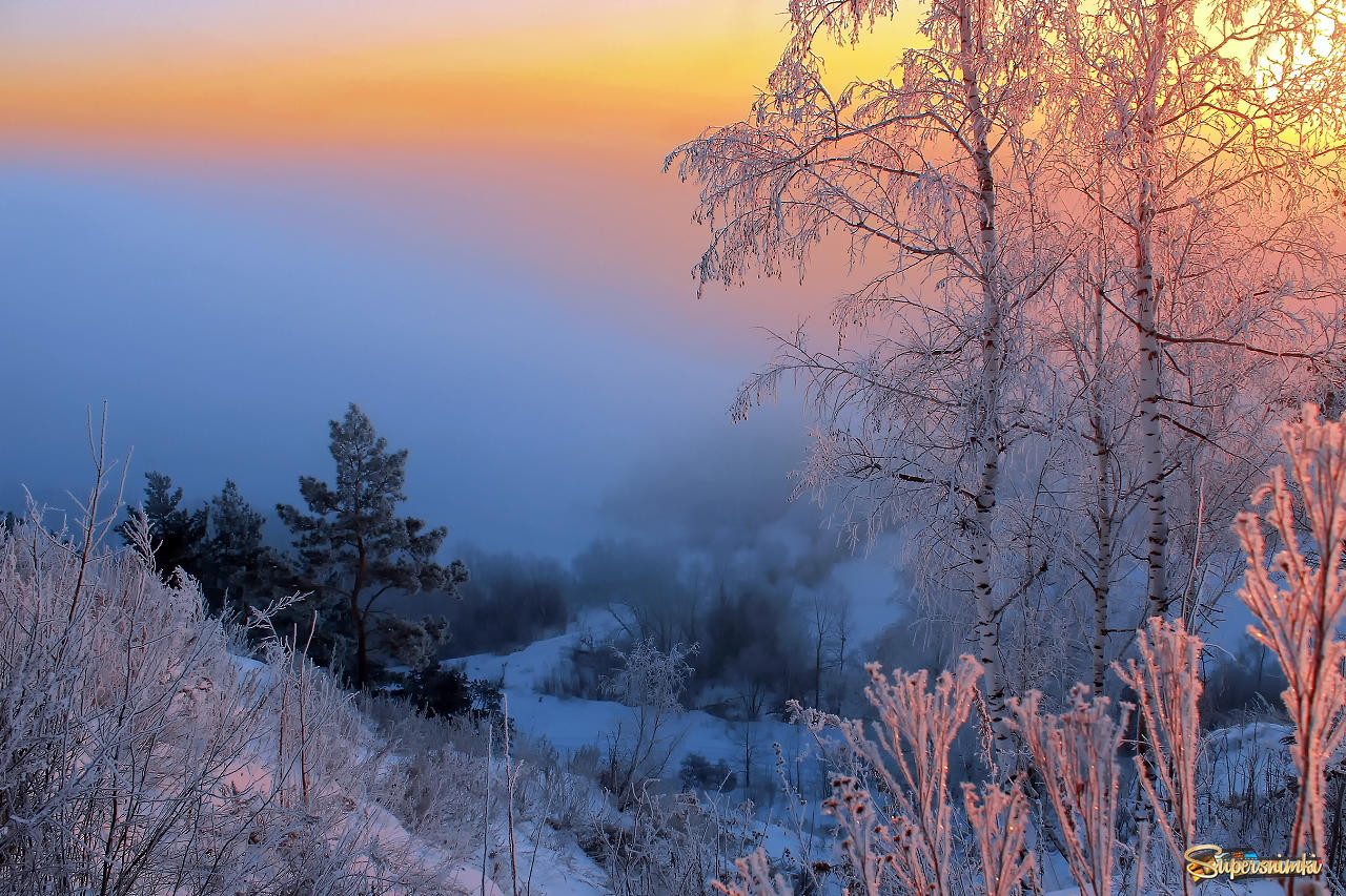 Зимнее утро. Белорусский фотограф Алексей Угальников. Зимний рассвет. Рассвет зимой.