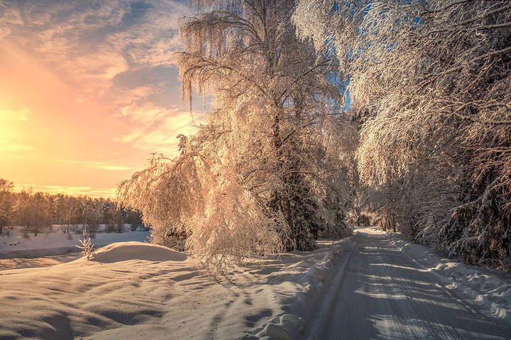 Рассвет