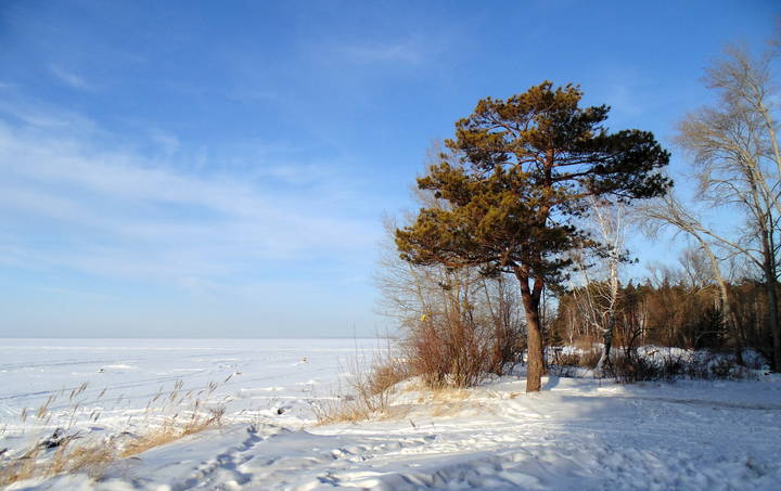 На берегу . Декабрь .