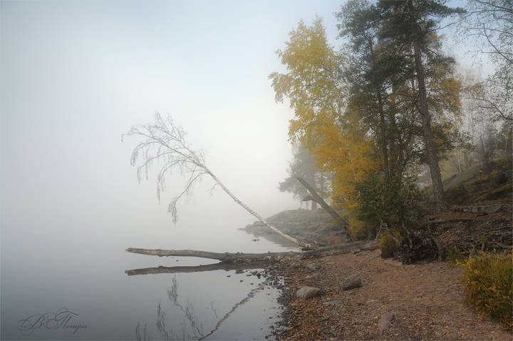 Утро на озере