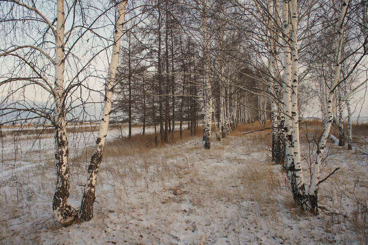 Первый снег.