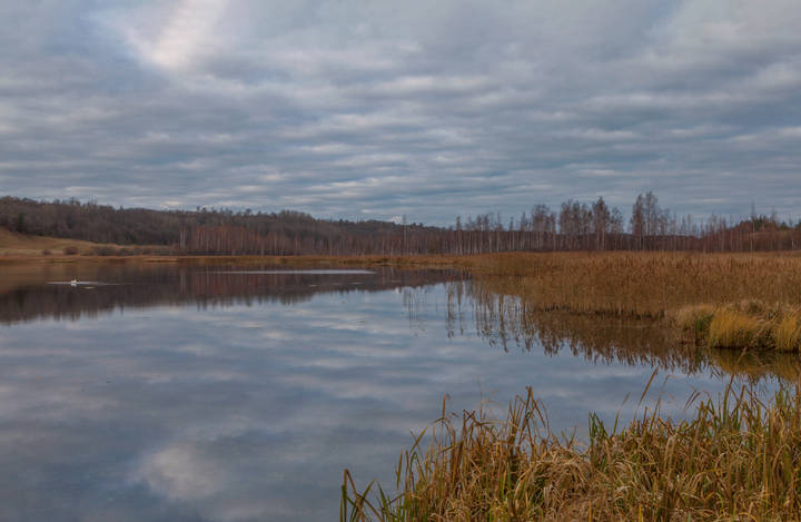 Осень - Городищенское озеро